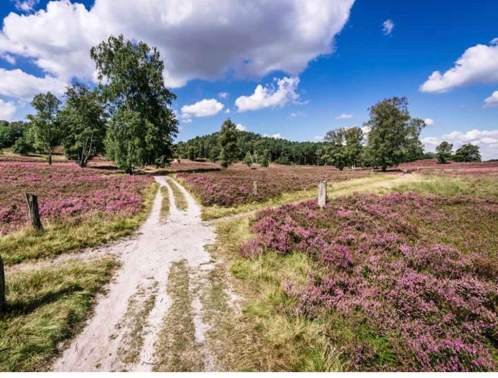 Feelslikehome - Reihenhaus Zwischen Hamburg Und Heide Mit Garten&Garage نوي فولمستورف المظهر الخارجي الصورة