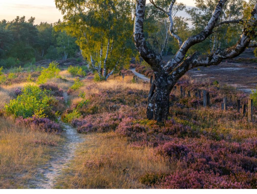 Feelslikehome - Reihenhaus Zwischen Hamburg Und Heide Mit Garten&Garage نوي فولمستورف المظهر الخارجي الصورة